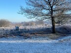 Scrub control at Buxton Heath by Norfolk Conservation Corps