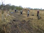 Norfolk Conservation Corps at South Raynham 2017-01-08 (0812)