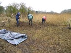Norfolk Conservation Corps at South Raynham 2017-01-08 (0813)