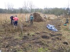 Raking up fen reed cuttings at Hillside House (0820)