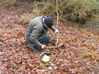 Billy taking down a small birch 2026-02-08