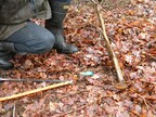 Stump treated with dyed herbcide