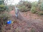 Nigel carting a felled birch sapling