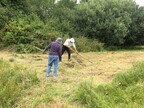 Norfolk Conservation Corps raking cuttings at Lolly Moor 2025-08-17 (0633)