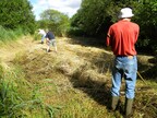 Fen raking at Potter’s Fen by Norfolk Conservation Corps (0592)