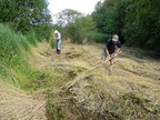 Fen raking at Potter’s Fen by Norfolk Conservation Corps (0595)