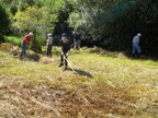 Fen raking at Potter’s Fen by Norfolk Conservation Corps (0602)