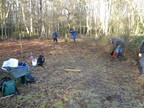 Norfolk Conservation Corps on bramble control duty 2020-01-19 (1469)