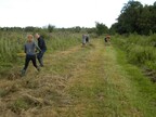 Track raking at Woodbastwick National Nature Reserve (1437)