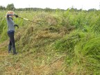 Phoebe stashing track cuttings (1442)