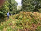 The ride at Swannington-Upgate Common before bracken clearing (c) J. Girling