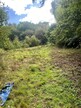 Ride at Swannington-Upgate Common after bracken clearing (c) J. Girling