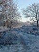Path at Buxton Heath (c) Jackie Grzeskowiak