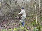 Jacky collecting coppice brash 2026-03-08 (4623)