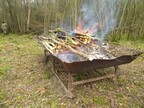 Willow and ash on the burn tray at Foxley Wood 2026-03-08 (4630)