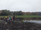 Nesting islands at Pensthorpe being cleared by Norfolk Conservation Corps