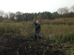 Billy carting brash at Pensthorpe