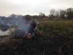 Billy carting brash at Pensthorpe