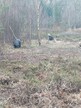 Coppicing at Swanton Novers by Norfolk Conservation Corps